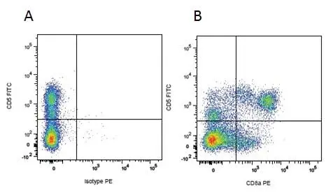 Anti Pig CD5 Antibody, clone 1H6/8 gallery image 4