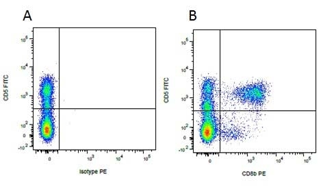 Anti Pig CD5 Antibody, clone 1H6/8 gallery image 6