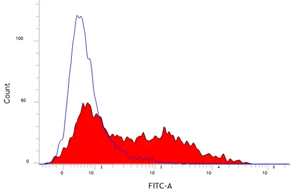 Anti Pig CD52 Antibody, clone 11/305/44 gallery image 2