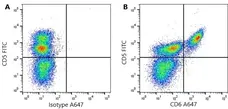 Anti Pig CD6 Antibody, clone a38b2 gallery image 1