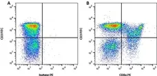 Anti Pig CD8 Alpha Antibody, clone 11/295/33 gallery image 3