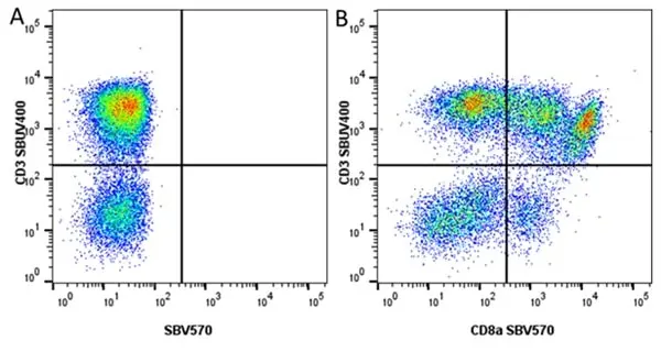 Anti Pig wCD8 Alpha Antibody, clone MIL12 gallery image 9