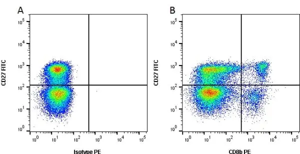 Anti Pig CD8 Beta Chain Antibody, clone PPT23 gallery image 2