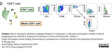 Anti Pig CD8 Beta Chain Antibody, clone PPT23 gallery image 5