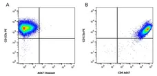 Anti Pig CD9 Antibody, clone 4H5CR4 gallery image 1