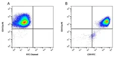 Anti Pig CD9 Antibody, clone 4H5CR4 gallery image 2
