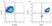 Anti Pig CD9 Antibody, clone 4H5CR4 thumbnail image 2