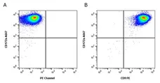 Anti Pig CD9 Antibody, clone 4H5CR4 gallery image 3