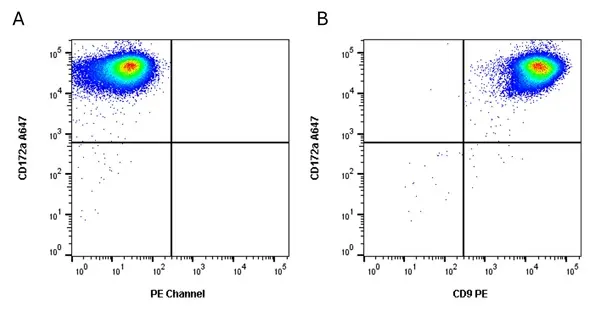 Anti Pig CD9 Antibody, clone 4H5CR4 gallery image 3