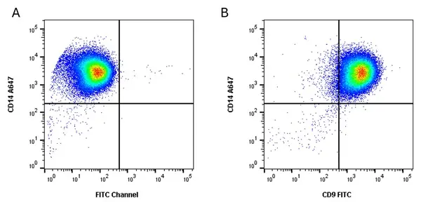 Anti Pig CD9 Antibody, clone 4H5CR4 gallery image 4
