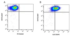 Anti Pig CLEC12B Antibody, clone PELE6 gallery image 1