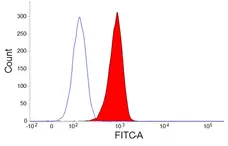 Anti Pig CSF1R Antibody, clone ROS8G11 gallery image 2