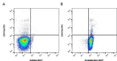 Anti Pig Granulocytes Antibody, clone 2B2 gallery image 1