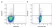 Anti Pig Granulocytes Antibody, clone 2B2 thumbnail image 1
