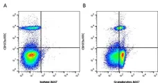 Anti Pig Granulocytes Antibody, clone 2B2 gallery image 2