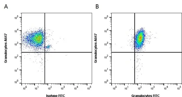 Anti Pig Granulocytes Antibody, clone 2B2 gallery image 3