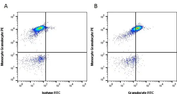 Anti Pig Granulocytes Antibody, clone 2B2 gallery image 4
