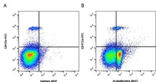 Anti Pig Granulocytes Antibody, clone 6D10 gallery image 1
