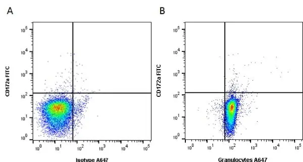 Anti Pig Granulocytes Antibody, clone 6D10 gallery image 2