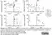 Anti Pig IgA Antibody, clone K61 1B4 thumbnail image 5