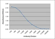 Anti Pig IgG1 Antibody, clone K139 3C8 gallery image 1
