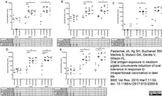 Anti Pig IgM Antibody, clone K52 1C3 gallery image 2