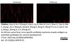 Anti Pig IgM Antibody, clone K52 1C3 gallery image 8