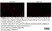 Anti Pig IgM Antibody, clone K52 1C3 thumbnail image 8
