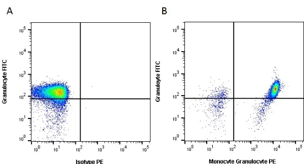 Anti Pig Monocyte/Granulocyte Antibody, clone 74-22-15  gallery image 2
