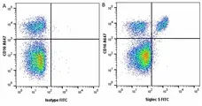 Anti Pig SIGLEC-5 Antibody, clone 4F7 gallery image 1