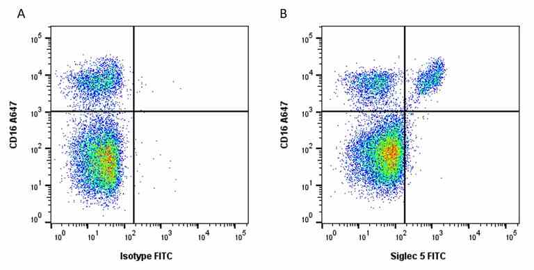 Anti Pig SIGLEC-5 Antibody, clone 4F7 | Bio-Rad