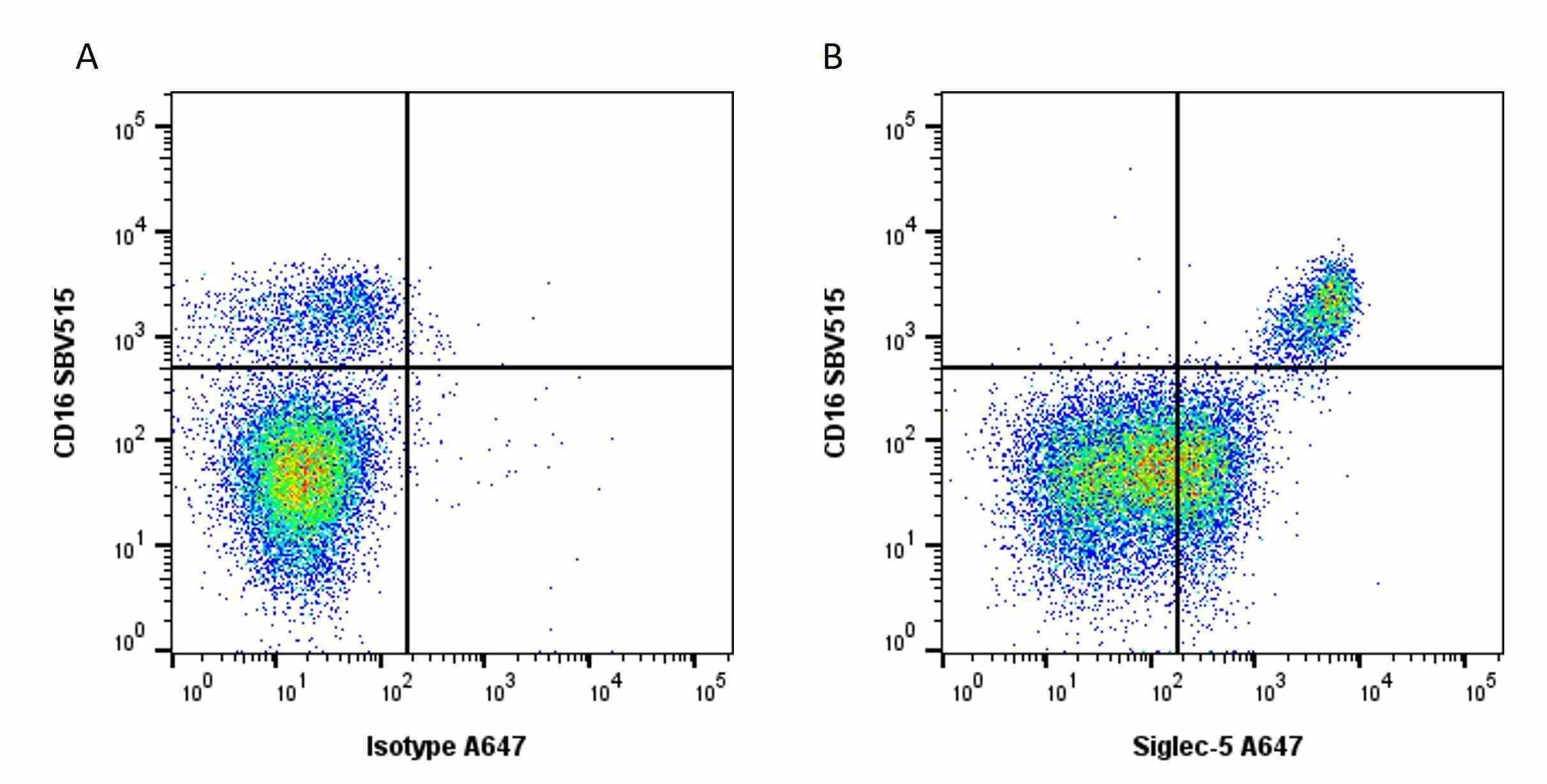 Anti Pig SIGLEC-5 Antibody, clone 4F7 gallery image 2