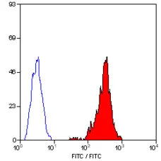 Anti Pig SLA Class I Antibody, clone JM1E3 gallery image 1