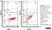 Anti Pig SLA Class II DR Antibody, clone 2E9/13 thumbnail image 4