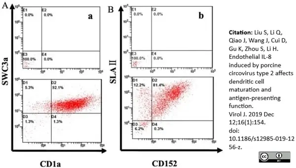 Anti Pig SLA Class II DR Antibody, clone 2E9/13 gallery image 4