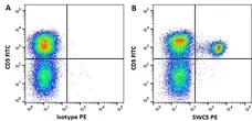 Anti Pig SWC5 Antibody, clone b37c10 gallery image 1