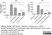 Anti Progesterone Antibody, clone 9B4 thumbnail image 3
