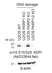 anti H3-S10-ADP-RIBOSE Antibody, clone AbD33644 thumbnail image 1