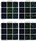 anti Mono-ADP-Ribose Antibody, clone AbD33204 thumbnail image 1