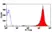 Anti Cryptosporidium Antibody, clone BEL 0126 thumbnail image 1