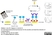 Anti Cryptosporidium Antibody, clone BEL 0126 thumbnail image 5