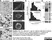 Anti Leishmania LPG (Repeat Epitope) Antibody, clone CA7AE thumbnail image 1