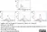 Anti Leishmania Major Surface Protease gp63 Antibody, clone 96/26 thumbnail image 1