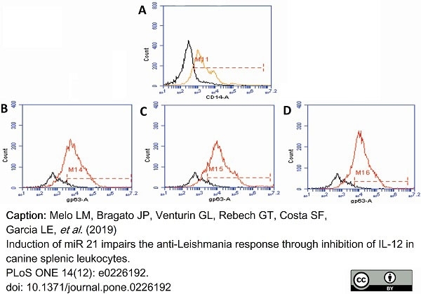 Anti Leishmania Major Surface Protease gp63 Antibody, clone 96/26 gallery image 1