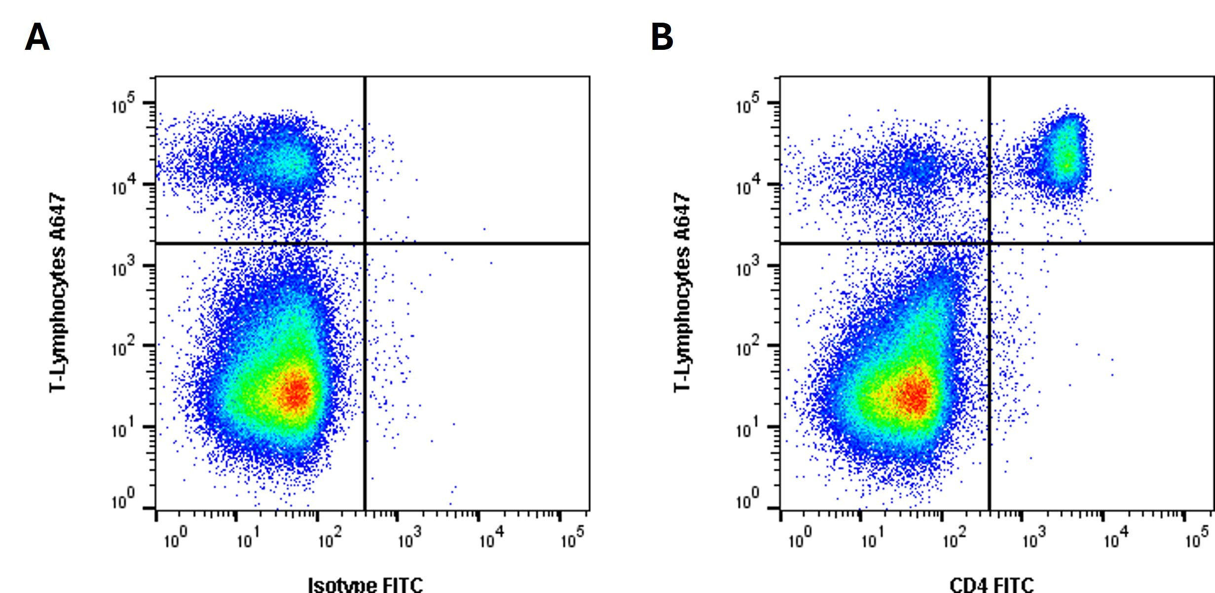 Anti Rabbit CD4 Antibody, clone KEN-4 | Bio-Rad
