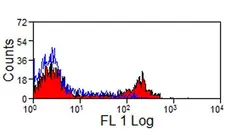 Anti Rabbit CD4 Antibody, clone KEN-4 | Bio-Rad
