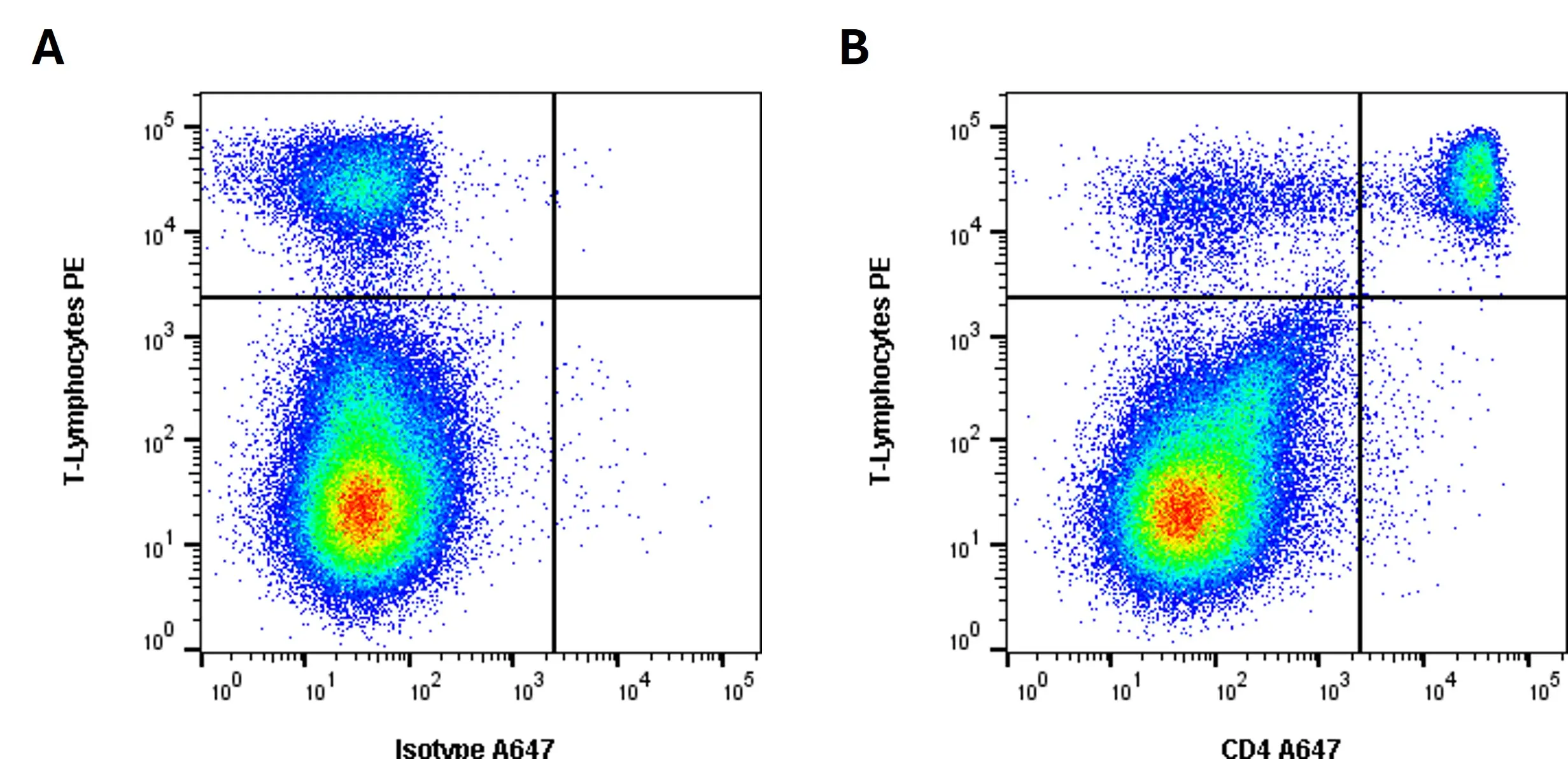 Anti Rabbit CD4 Antibody, clone KEN-4 gallery image 2