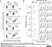 Anti Rabbit CD4 Antibody, clone KEN-4 thumbnail image 3