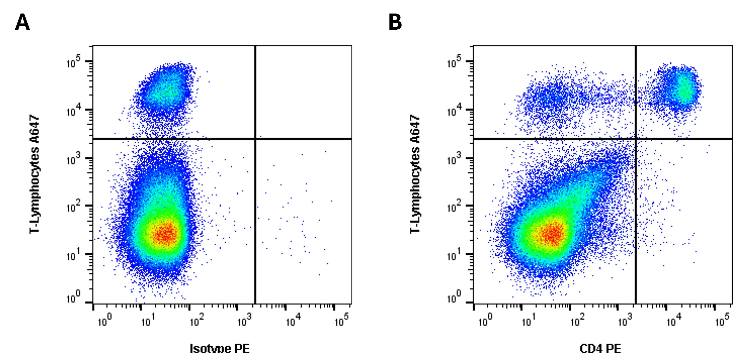 Anti Rabbit CD4 Antibody, clone KEN-4 gallery image 4