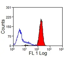 Anti Rabbit CD44 Antibody, clone W4/86 gallery image 1